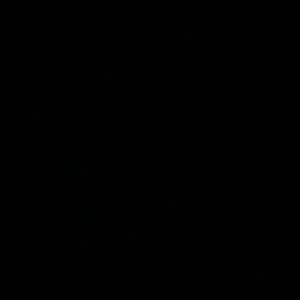 Meet your Posher, Calvin